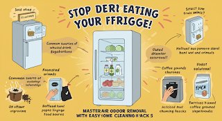 Banish Bad Smells: Ultimate Refrigerator Odor Removal & Fresh Home Cleaning Hacks