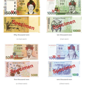 Korean Currency & Airport Exchange: A Traveler's Guide